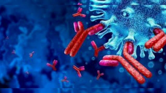 Antigen|Antibodies|How to increase antibodies count|Tamil|#MMF смотреть онлайн