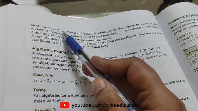 Math Class Seven | Lecture Three | feed ur brain смотреть онлайн