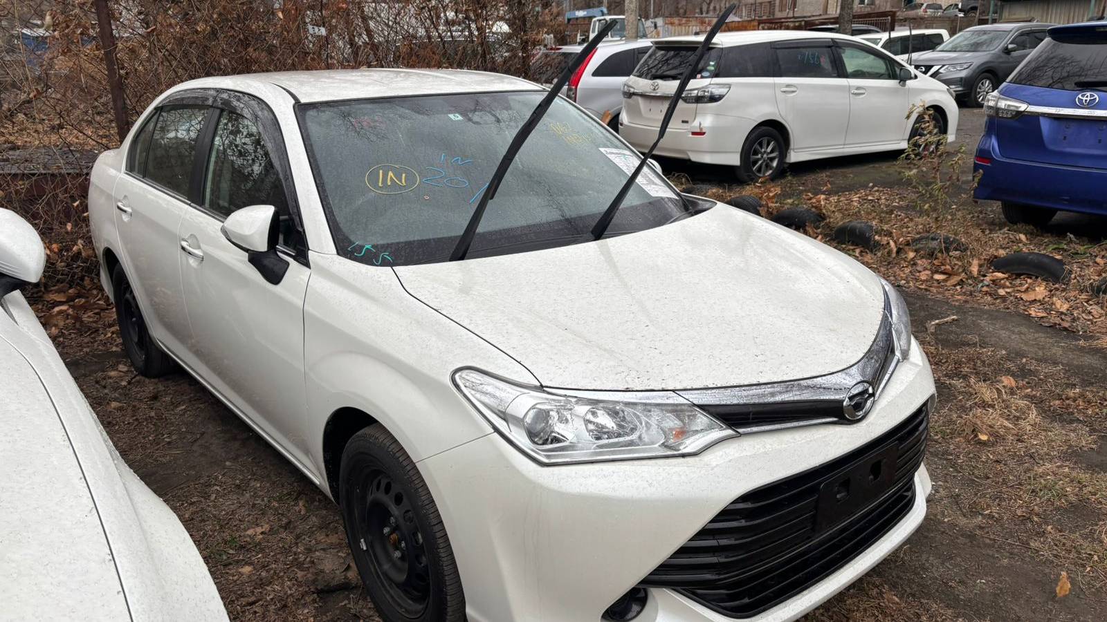 Honda Stepwgn и Toyota Axio забрали с таможни Владивостока смотреть онлайн