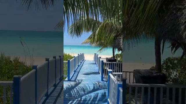 Пляж Пилар🏝 #путешествие #кайо #куба #cuba #путешествие #ocean #atlanticocean #кудапоехать #отдых смотреть онлайн
