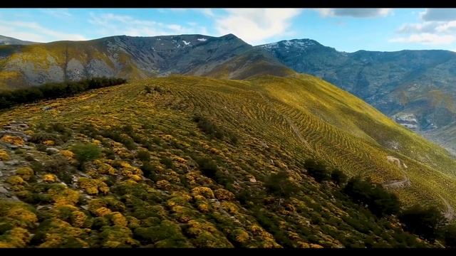 Вступительное Слово Ангелов Небесных Сфер смотреть онлайн