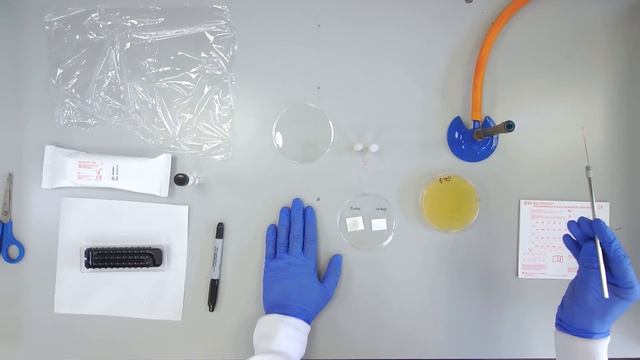 Use of BBL Crystal kit to identify bacteria (1 of 3) смотреть онлайн