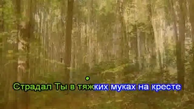 Гимны надежды 94 Тебе пою, мой дивный Иисус(-) смотреть онлайн