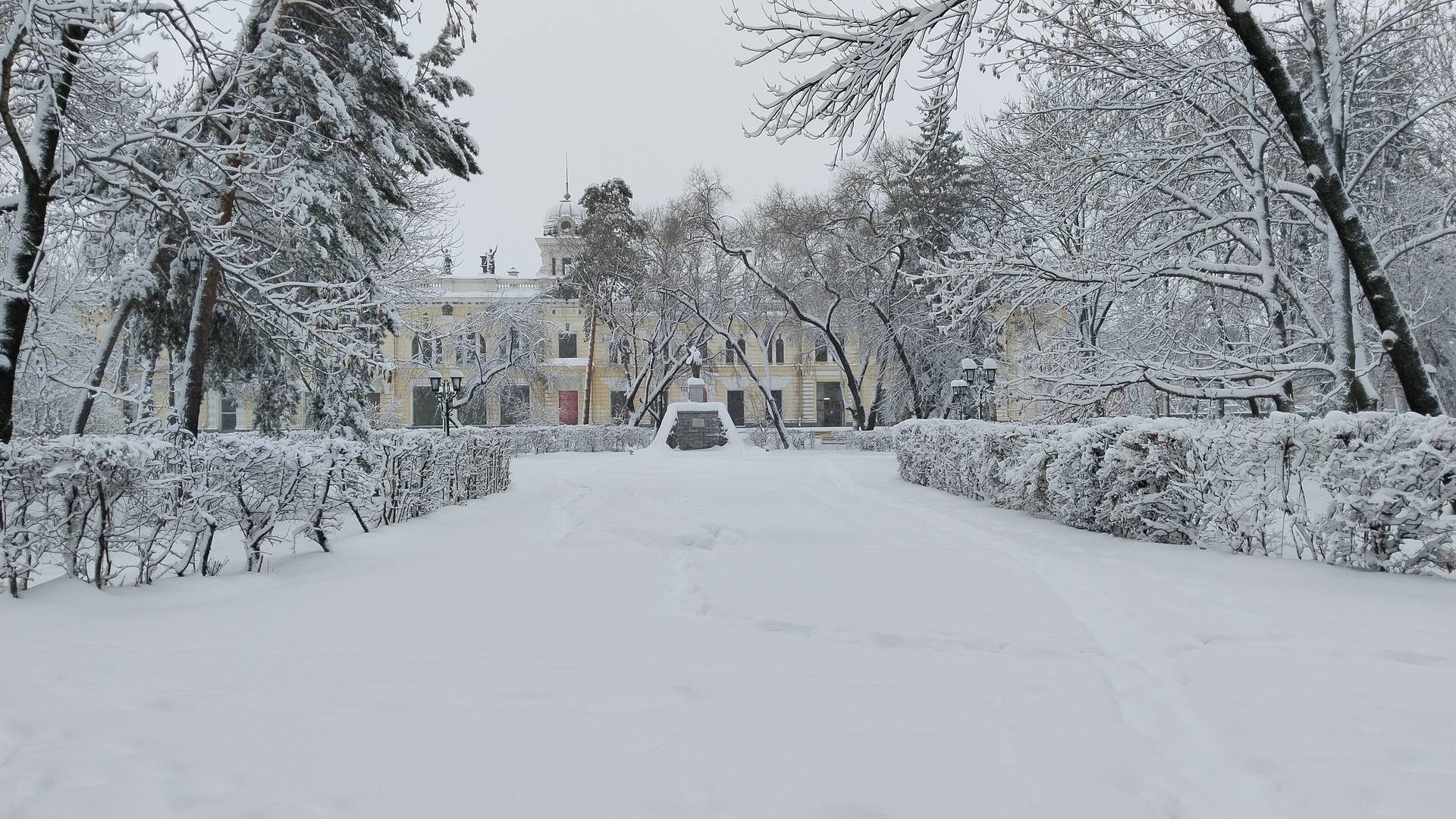 Снегопад в Благовещенске 27.11.2024 смотреть онлайн