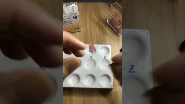 PRAKTIKUM ASAM BASA DGN PH UNIVERSAL DAN LAKMUS смотреть онлайн