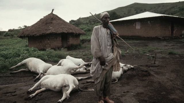 The Lake Nyos Incident смотреть онлайн