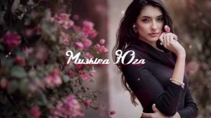 Казим Шидаков - Не ругай | Музыка Юга