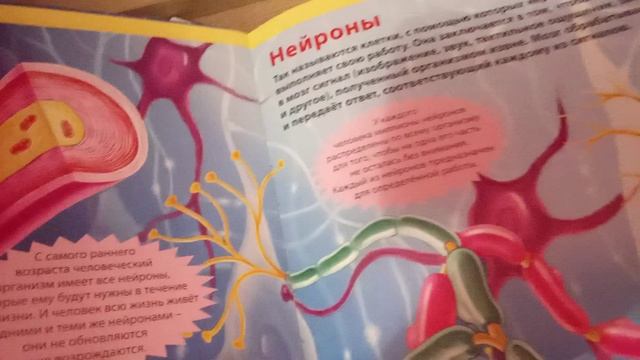 2 серия про книжки смотреть онлайн