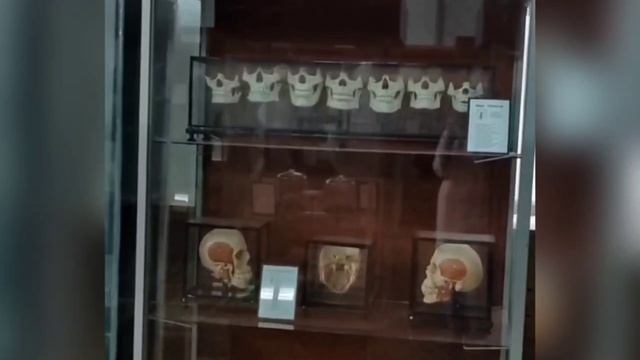 The team of Astrakhan State Medical University - Астраханский ГМУ - Т смотреть онлайн