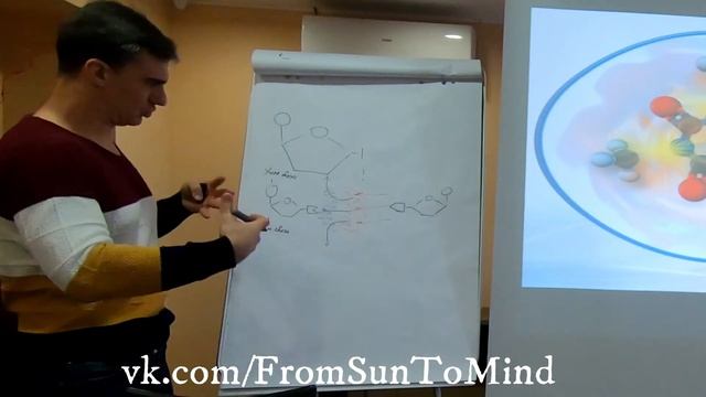 Соснов А.М. 6 лекция (Появление жизни и души) 28.12.2019 смотреть онлайн