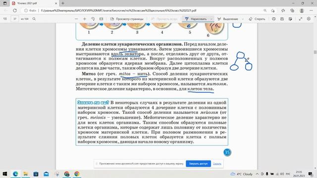 10.Деление и развитие клеток/1 ЧАСТЬ смотреть онлайн