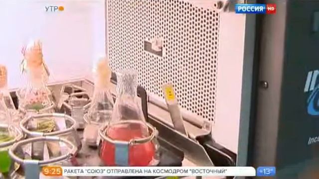 Астаксантин в России смотреть онлайн