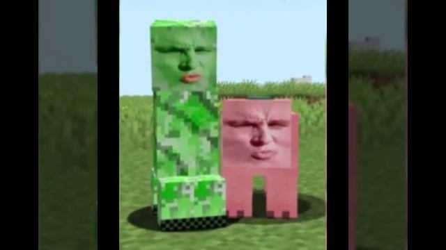 LeoKamenskiOfficial сигма крипер и сигма свинка (audio Music)