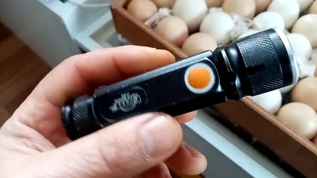 Результат ОВОСКОПИРОВАНИЯ куринных яиц!!!! Одиннадцатый день инкубации!!! смотреть онлайн