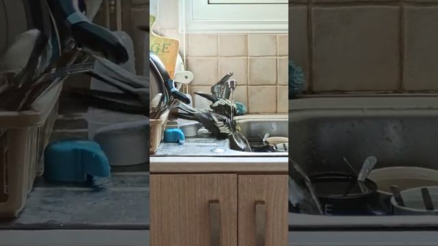 корелла Гоша моется смотреть онлайн