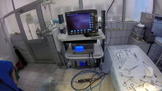 Electrosurgery in elbow, dog Электрохирургия локтевого сустава www.endovet.com смотреть онлайн