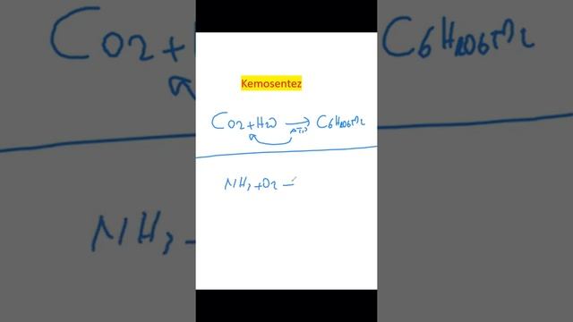 KEMOSENTEZ NEDİR? смотреть онлайн