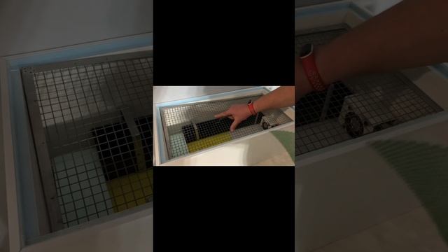 Выводной инкубатор матрица #выводнойинкубатор смотреть онлайн