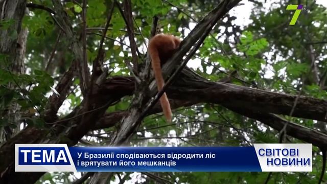 Выпуск международных новостей за 17:00 4 октября смотреть онлайн