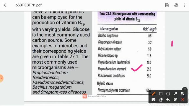 S11 vitamin B12 production смотреть онлайн