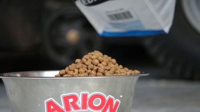 Arion prémium kutyatápok смотреть онлайн