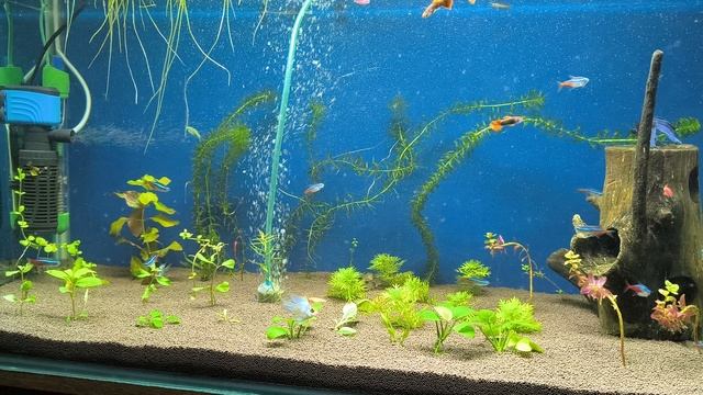 добавил рыбу смотреть онлайн