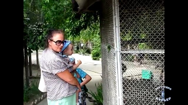 Экологический лагерь - в действии! смотреть онлайн