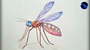 Сказка про Комара Комаровича - длинный нос и мохнатого Мишу - короткий хвост /  Д.Н. Мамин-Сибиряк