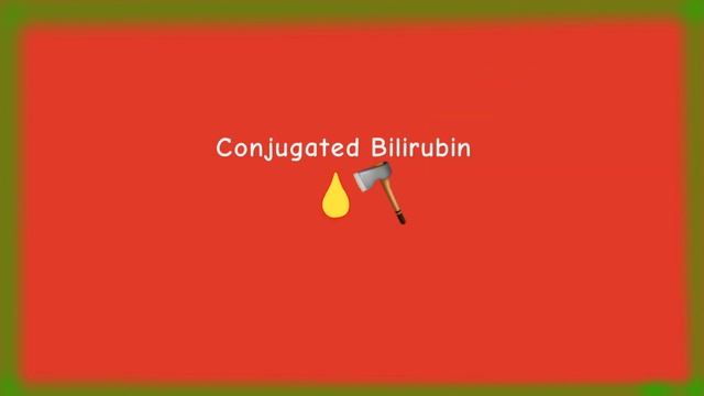 UNDERSTANDING BILIRUBIN METABOLISM | ANIMATION
