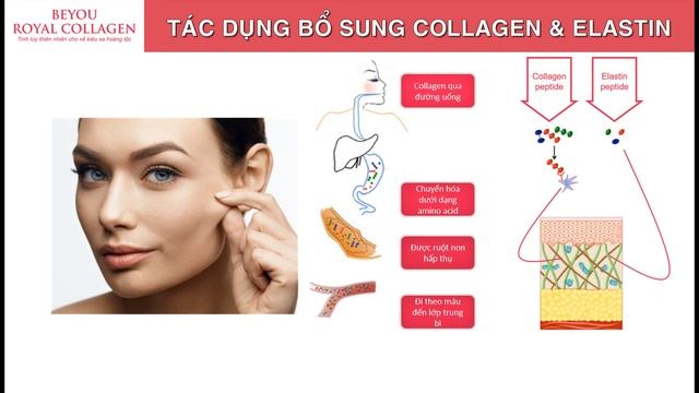 BEYOU Royal Collagen смотреть онлайн