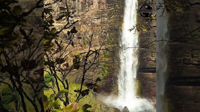 Kundelungu National Park смотреть онлайн
