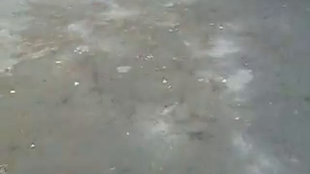 борьба одуванчиками смотреть онлайн