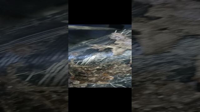 как на таких колесах можно ездить