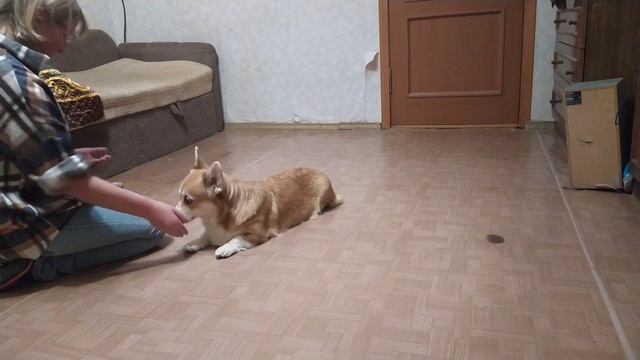 Концентрация на кусочек смотреть онлайн