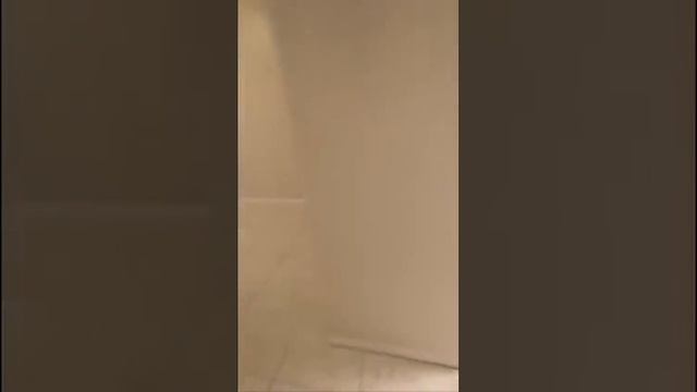 9336 ketay circle Boca Raton. Fl смотреть онлайн