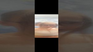 покупки и как научится завязывать хвостик