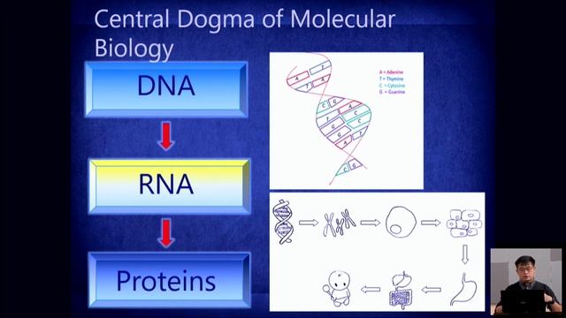 Viruses [2/3] - Series on Antibodies, Viruses, Intelligent Design смотреть онлайн