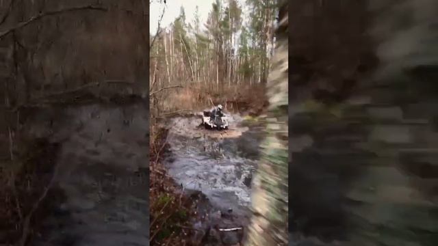 Осенние броды. Когда надо объехать завалы #квадроциклы #atv #stels смотреть онлайн