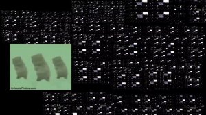 too many giga mega yotta gummy bears 3/250