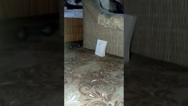 Me 38 compact патрон терен 3 фп шарик 1 грамм смотреть онлайн