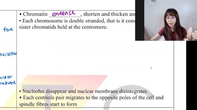 [ENG] F4 KSSM SPM BIOLOGY F4C6.3 MEIOSIS смотреть онлайн