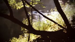NYMPH - super short film