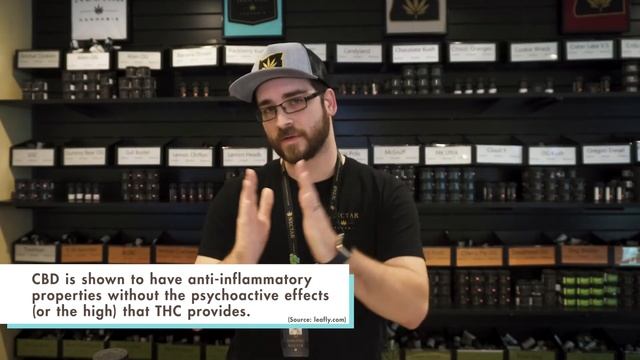 Which Strain Is Best For Pain Relief? | Ask A Budtender смотреть онлайн