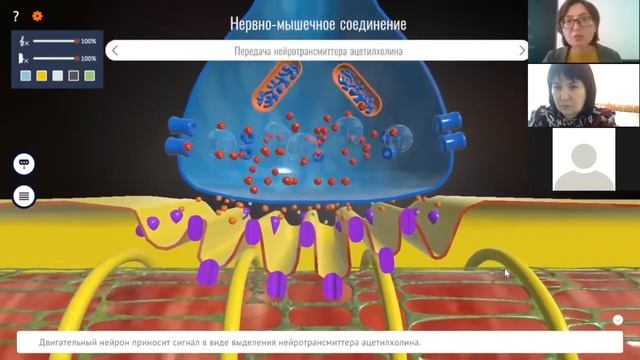 Roqed Science teaching cases 3 смотреть онлайн