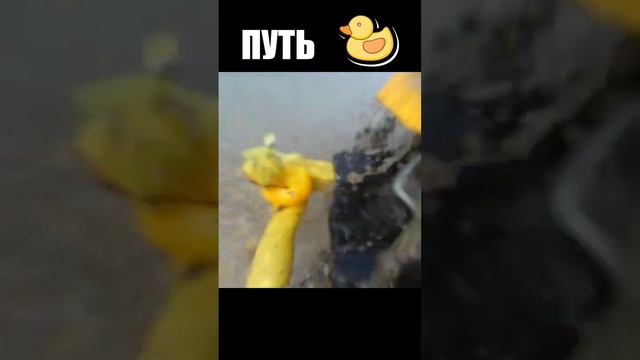 Путь одной на бампере квадроцикла #atv смотреть онлайн