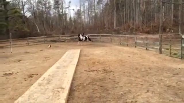 Selena de La Pecosa & Ana Marin смотреть онлайн