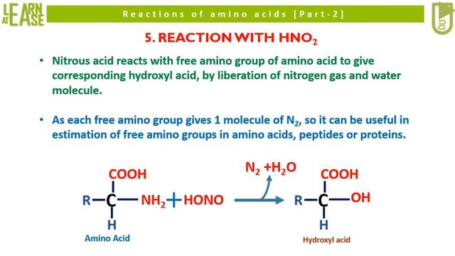 Biochemistry: Reactions of amino acids (Part-2) смотреть онлайн