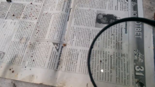 Китайские полоски Manhao,действующее вещество флувалинат.Тестируем. смотреть онлайн