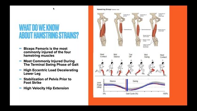 Functional Training Anatomy: An Anatomical Guide To Training