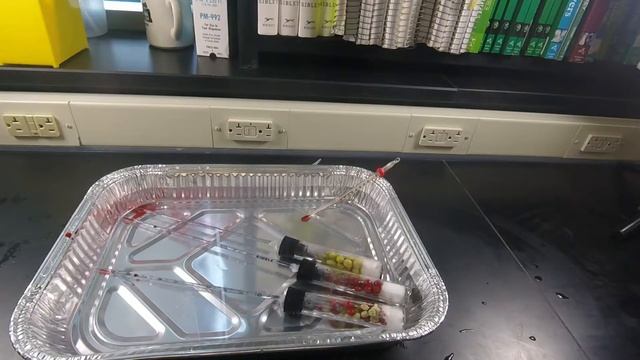 Cellular Respiration: Experiment
